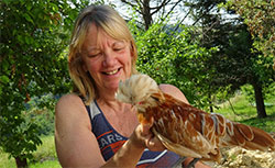Woman caring for her backyard chickens