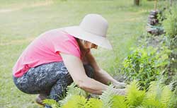 Woman gardening 
