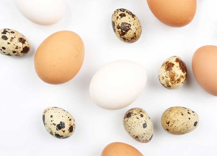Different types of eggs showing diversification of income streams
