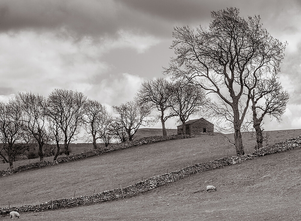 Landscape photography of Yorkshire