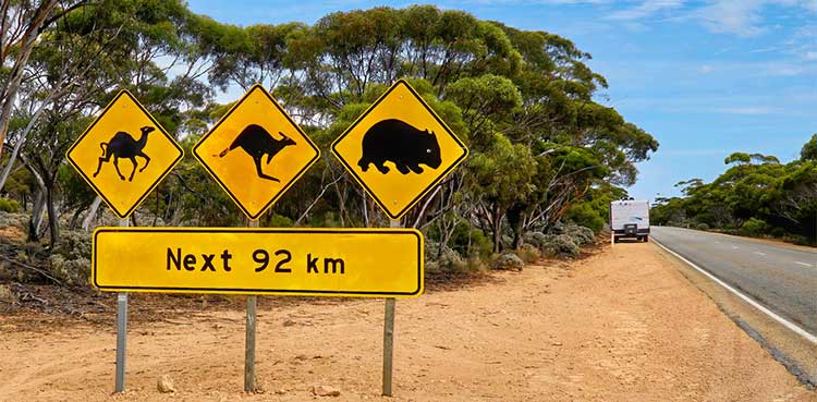 Australian outback animal warning signs on side of road